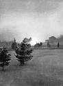 Barlow02.jpg