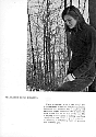 Barlow32.jpg