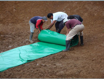  Spreading the liner in the new pond.