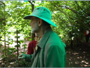  A trip to the aviary: the Green Man.
