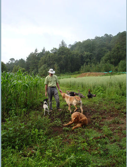 Farmer Juan with dogs, turkeys, corn and oats. 8/1/09