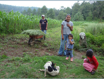  L to R: Aurelio, Oc the dog, Anayeli, Jiovana and Alondra.