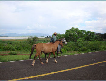  Patzcuaro 8: Yep! Still happens...