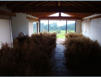  The oats drying in the guest house.
