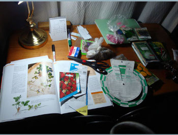 Eugenia's work table.