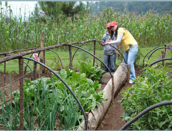 Volunteers fixing the ''micro tunnels'.