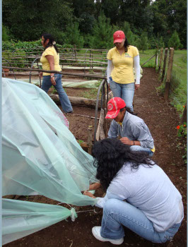 Volunteers fixing the ''micro tunnels'.