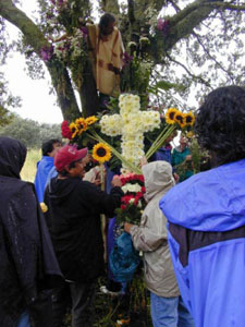 Infloraci&oacute;n del Arbol - octubre 2002