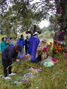 Infloraci&oacute;n del Arbol - octubre 2002