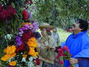 Infloraci&oacute;n del Arbol - octubre 2002