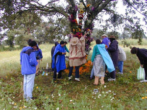 Infloraci&oacute;n del Arbol - octubre 2002