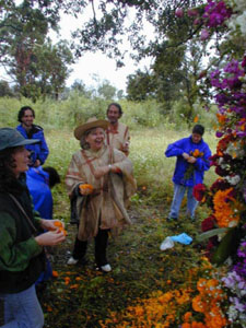 Infloraci&oacute;n del Arbol - octubre 2002