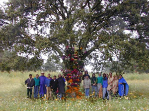 Infloraci&oacute;n del Arbol - octubre 2002